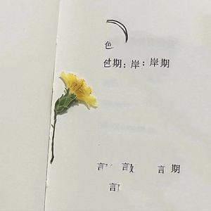 花开忘忧（cover.周深）