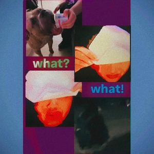 WHAT?! (feat. CADET MARS)