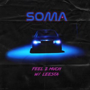 FEEL2MUCH (feat. Leesta)