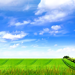 生命中地美好缺憾