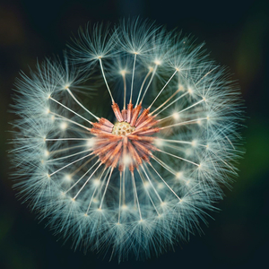 心灵的喜悦 (再来一次心灵的碰撞)