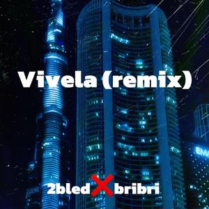 Vivela(remix) (feat. bribri)