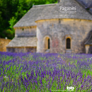 Paganini:Sei Sonata No.5 In A Major MS.27 - II. Allegretto Energicamente