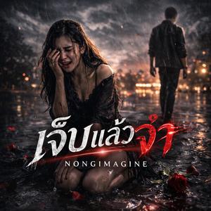 เจ็บแล้วจำ