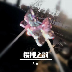 酒酿樱桃梦