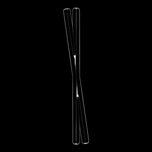 Dusk (Moonlight)