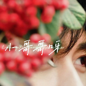 小哥哥呀—成毅应援曲