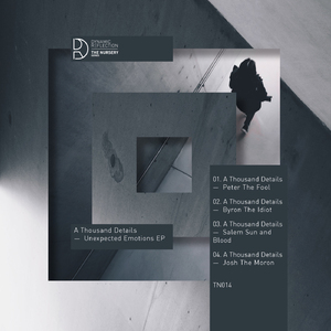 Salem Sun And Blood (Original Mix)