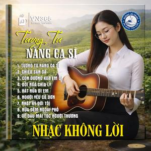 Đôi Ngả Chia Ly - Hòa Tấu Guitar Không Lời