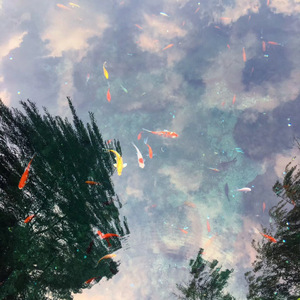 父亲写的散文诗