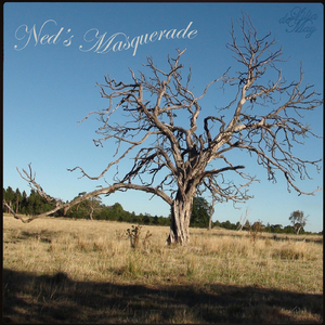 Ned's Masquerade