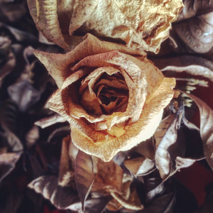 The kid in the alley