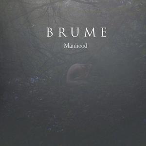 La Marche Amnésique