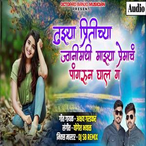 Tuzya Pritichya Jwanimadhi Mazya Preamch Pangharun Ghal G