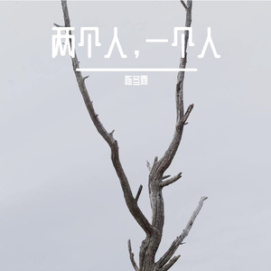 两个人 一个人