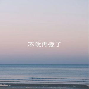 不敢再爱了