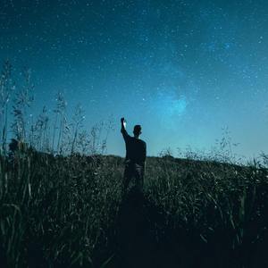 13131（翻自 陈琳）