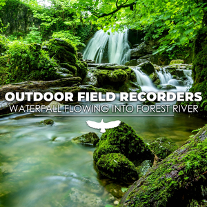 Waterfall Flowing Into Forest River