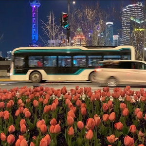 【Free】“遗憾”Melodic Drill Asen x Central CeeTypeBeat