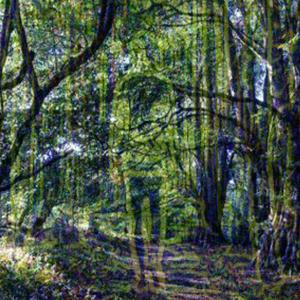 Find ProSabre In The Woods