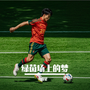 绿茵场上的梦