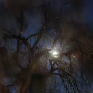 是坠落还是飞行