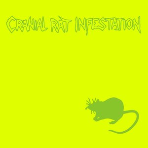 Cranial Rat Infestation