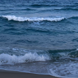 瞬（抖音片段版）