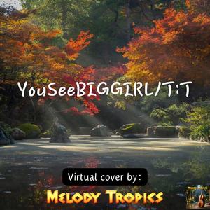 YouSeeBIGGIRL/T:T