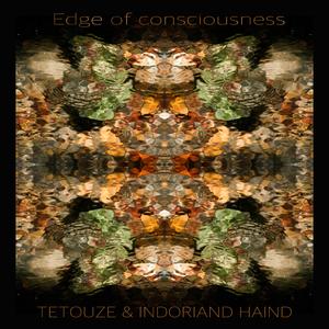Edge of consciousness (feat. Indoriand Light of Unity)