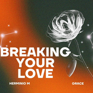Breaking Your Love