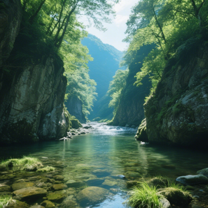 兰草慢板