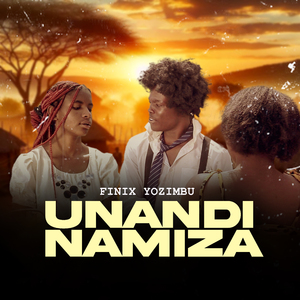 Unandinamiza