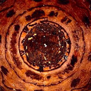 QUANDU SERÒ PER CORTI