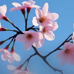 あんなに一緒だったのに