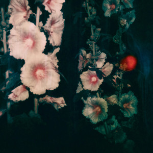 Still Life (Eli & Fur Remix)