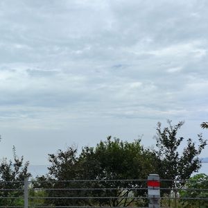 三生三世十里桃花喊麦版