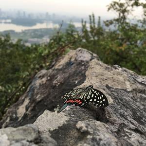 喜悦（词曲：许巍）