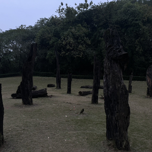 分我一半耳机 就分我一半心事