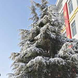 承诺难实现 你我难相见