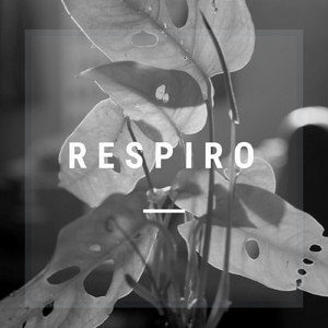 Respiro