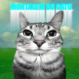 MONTAGEM DO GATO (Sped Up)