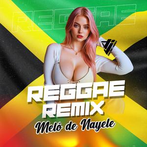 Melô de Nayele (Reggae Internacional)