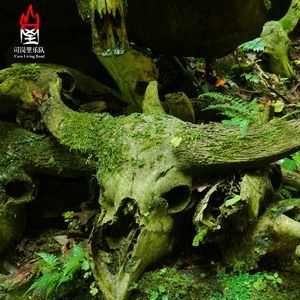 佤邦走进新时代（无说唱）