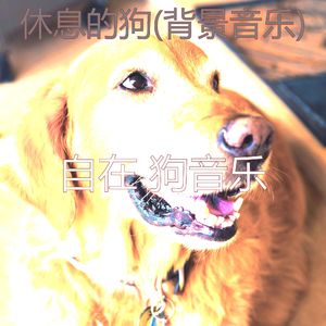 分类(训练你的狗)