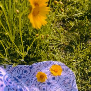 不敢直面的现实