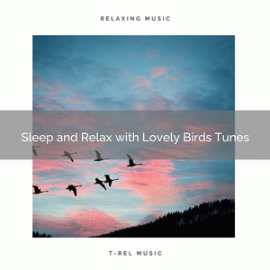 Bird Soothing Notes for Falling Asleep