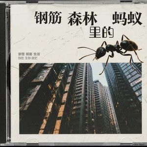 钢筋森林里的蚂蚁