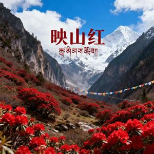 映山红（藏语版）