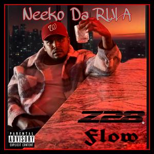 Z/28 Flow
